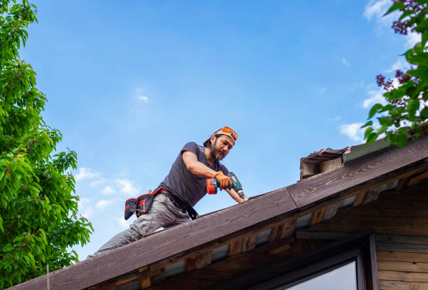 Best Roof Moss and Algae Removal  in Cherokee Village, AR
